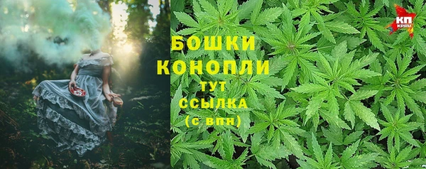 гидра Приозерск