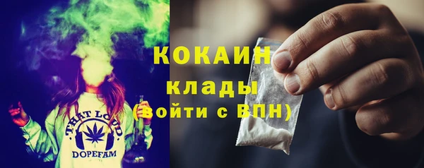 гидра Приозерск