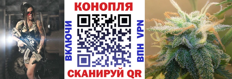где продают   Злынка  Конопля MAZAR 